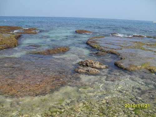屏東美麗的小島『小琉球』潔淨海水、貝殼沙灘、迷人風景乘風破浪 - 第22張圖 屏東美麗的小島『小琉球』潔淨海水、貝殼沙灘、迷人風景乘風破浪