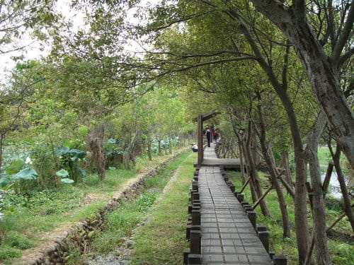 宜蘭景點 礁溪猴硐瀑布/五峰奇瀑布/林美石磐步道/清水地熱/蘭陽博物館/羅東林業文化園區之旅 - 第18張圖 宜蘭景點 礁溪猴硐瀑布/五峰奇瀑布/林美石磐步道/清水地熱/蘭陽博物館/羅東林業文化園區之旅