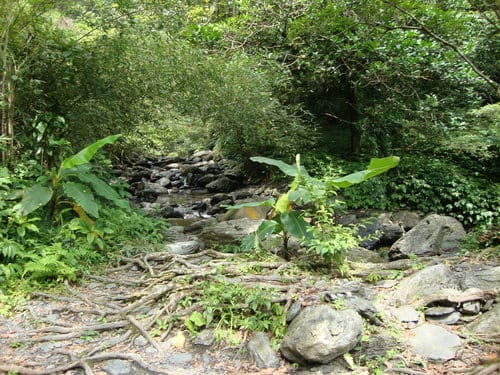 宜蘭景點 礁溪猴硐瀑布/五峰奇瀑布/林美石磐步道/清水地熱/蘭陽博物館/羅東林業文化園區之旅 - 第37張圖 宜蘭景點 礁溪猴硐瀑布/五峰奇瀑布/林美石磐步道/清水地熱/蘭陽博物館/羅東林業文化園區之旅