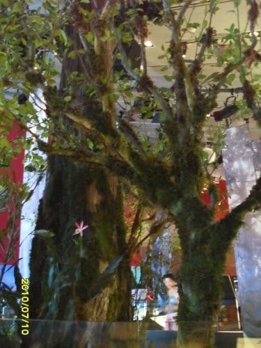 宜蘭景點 礁溪猴硐瀑布/五峰奇瀑布/林美石磐步道/清水地熱/蘭陽博物館/羅東林業文化園區之旅 - 第55張圖 宜蘭景點 礁溪猴硐瀑布/五峰奇瀑布/林美石磐步道/清水地熱/蘭陽博物館/羅東林業文化園區之旅