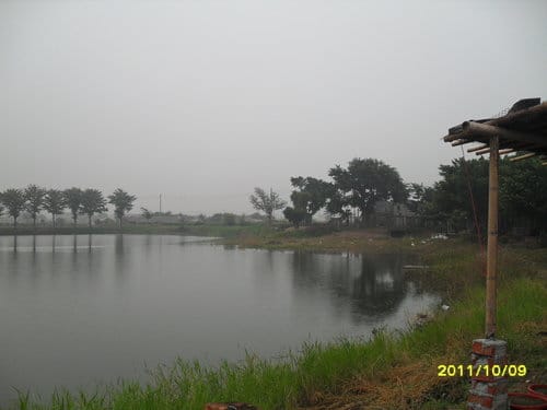 台南景點【老塘湖藝術村】食尚玩家介紹:復古建築、古文物彷彿進入時光隧道可換古裝拍美照的超好拍復古藝術村