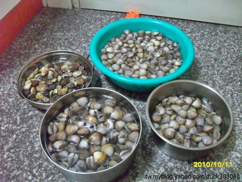 台中港/清水景點高美溼地–挖蛤蜊 - 第1張圖 台中港/清水景點高美溼地–挖蛤蜊