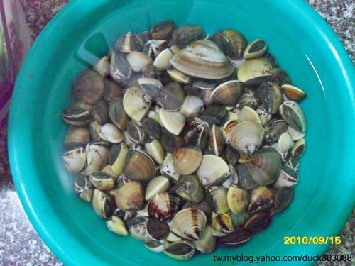 台中港/清水景點高美溼地–挖蛤蜊 - 第2張圖 台中港/清水景點高美溼地–挖蛤蜊