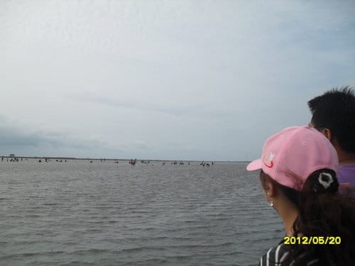 (免費挖蛤蜊)彰化漢寶溼地….超多蛤蜊-摸蛤蜊兼洗褲