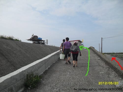 (免費挖蛤蜊)彰化漢寶溼地….超多蛤蜊-摸蛤蜊兼洗褲