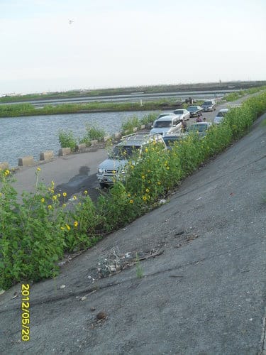 (免費挖蛤蜊)彰化漢寶溼地….超多蛤蜊-摸蛤蜊兼洗褲