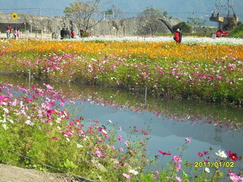 埔里花卉嘉年華-寫生比賽vs信義風櫃斗-烏松崙賞梅花