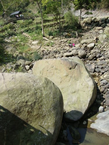 嘉義梅山『大峽谷生態農場』『圓潭自然生態園區』『向山瀑布』『竹坑溪步道』『觀日亭』賞螢火蟲/抓溪蝦/看日出/觀瀑布