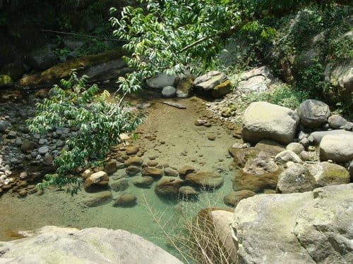 嘉義梅山『大峽谷生態農場』『圓潭自然生態園區』『向山瀑布』『竹坑溪步道』『觀日亭』賞螢火蟲/抓溪蝦/看日出/觀瀑布