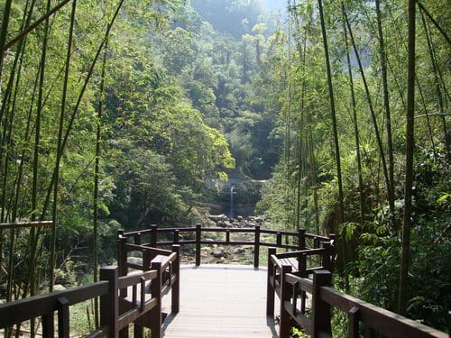 嘉義梅山『大峽谷生態農場』『圓潭自然生態園區』『向山瀑布』『竹坑溪步道』『觀日亭』賞螢火蟲/抓溪蝦/看日出/觀瀑布