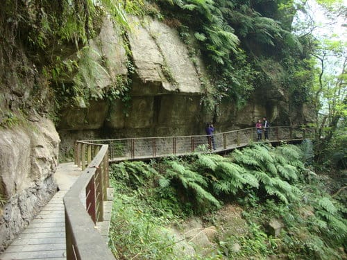 嘉義梅山『大峽谷生態農場』『圓潭自然生態園區』『向山瀑布』『竹坑溪步道』『觀日亭』賞螢火蟲/抓溪蝦/看日出/觀瀑布