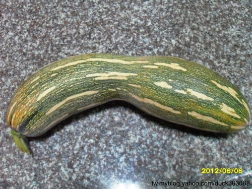 DIY中式麵點南瓜銀絲卷雙色包餡南瓜玫瑰饅頭南瓜肉包 - 第4張圖 DIY中式麵點南瓜銀絲卷雙色包餡南瓜玫瑰饅頭南瓜肉包
