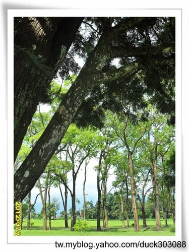 埔里景點超大綠草地『三育基督學院』