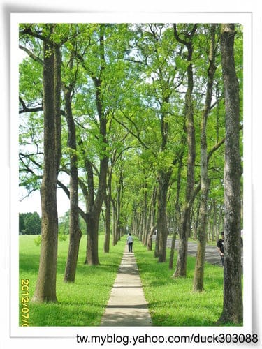 埔里景點超大綠草地『三育基督學院』