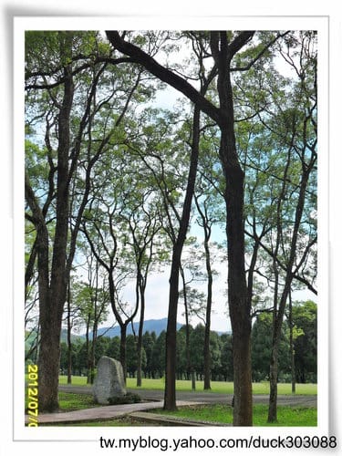 埔里景點超大綠草地『三育基督學院』