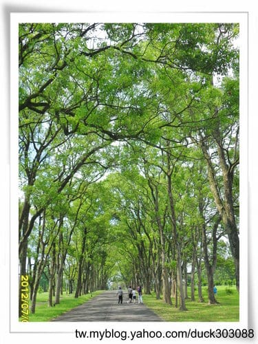 埔里景點超大綠草地『三育基督學院』