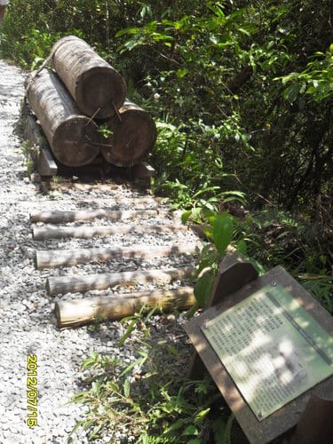 宜蘭景點礁溪『林美石磐步道』免費景點潺潺溪水輕鬆登山賞飛瀑