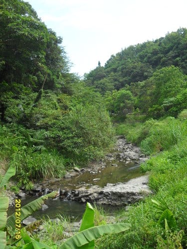 頭城農場包吃包喝包玩包住—2天1夜套裝遊