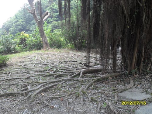 頭城農場包吃包喝包玩包住—2天1夜套裝遊