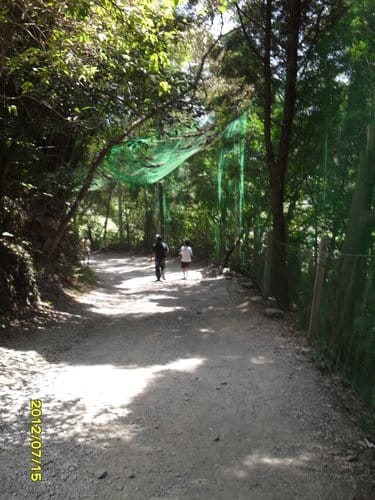 宜蘭景點礁溪『林美石磐步道』免費景點潺潺溪水輕鬆登山賞飛瀑