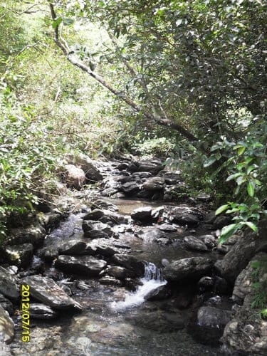 宜蘭景點礁溪『林美石磐步道』免費景點潺潺溪水輕鬆登山賞飛瀑