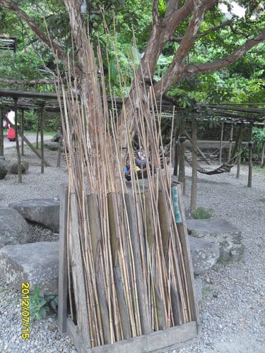 頭城農場包吃包喝包玩包住—2天1夜套裝遊