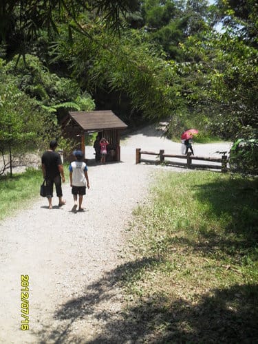 宜蘭景點礁溪『林美石磐步道』免費景點潺潺溪水輕鬆登山賞飛瀑
