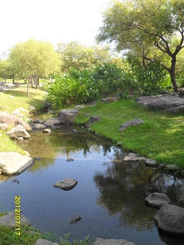 宜蘭景點免門票『羅東運動公園』落羽松季最美