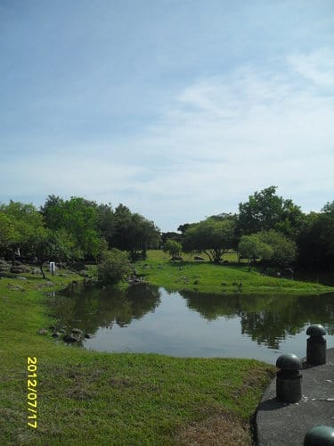 宜蘭景點免門票『羅東運動公園』落羽松季最美