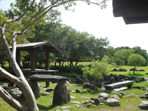 宜蘭景點免門票『羅東運動公園』落羽松季最美