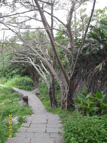 宜蘭景點頭城『北關海潮公園』賞豆腐岩、炮台、一線天