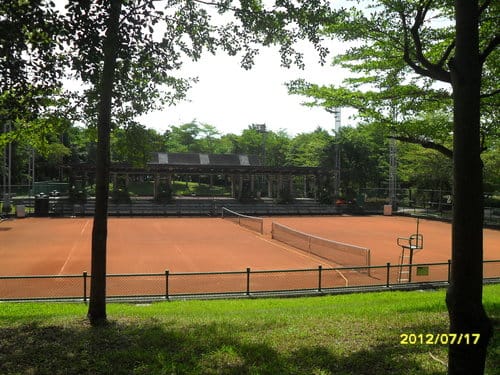 宜蘭景點免門票『羅東運動公園』落羽松季最美