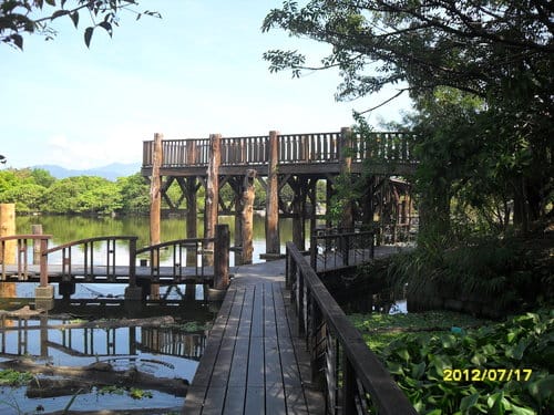 宜蘭景點免門票『羅東運動公園』落羽松季最美