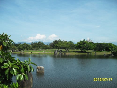 宜蘭景點免門票『羅東運動公園』落羽松季最美