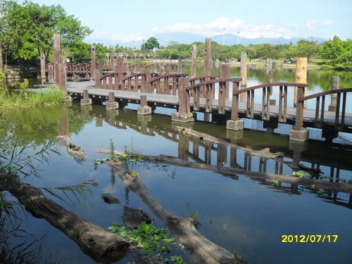 宜蘭景點免門票『羅東運動公園』落羽松季最美