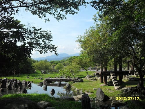 宜蘭景點免門票『羅東運動公園』落羽松季最美