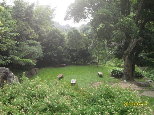 [苗栗景觀餐廳]漫步雲端森林廚房 唯美古堡森林景觀餐廳
