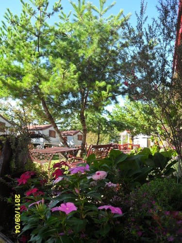 2011.8/38/4 造紙龍手創館.清境青青草原客棧.清境農場. - 第12張圖 2011.8/38/4 造紙龍手創館.清境青青草原客棧.清境農場.