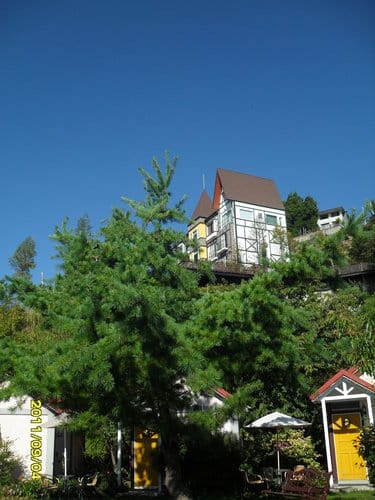 2011.8/38/4 造紙龍手創館.清境青青草原客棧.清境農場. - 第21張圖 2011.8/38/4 造紙龍手創館.清境青青草原客棧.清境農場.