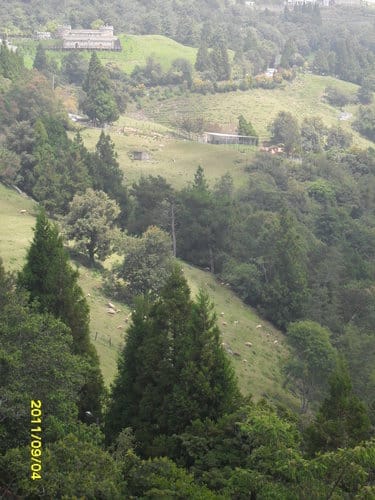 2011.8/38/4 造紙龍手創館.清境青青草原客棧.清境農場. - 第26張圖 2011.8/38/4 造紙龍手創館.清境青青草原客棧.清境農場.