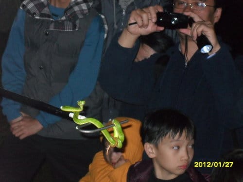 台中/新社小路露營區-第11露2012.1/27 - 第22張圖 台中/新社小路露營區-第11露2012.1/27