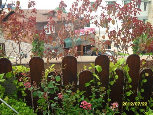 南投麻糬觀光工廠…台灣麻糬主題館 - 第25張圖 南投麻糬觀光工廠…台灣麻糬主題館