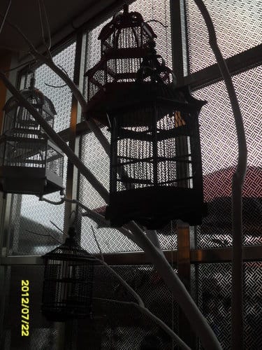 南投麻糬觀光工廠…台灣麻糬主題館 - 第13張圖 南投麻糬觀光工廠…台灣麻糬主題館
