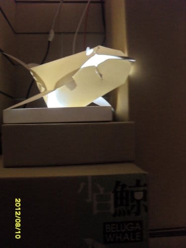 紙箱王中科店