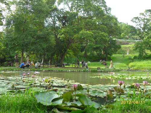 青青湖畔親水花園