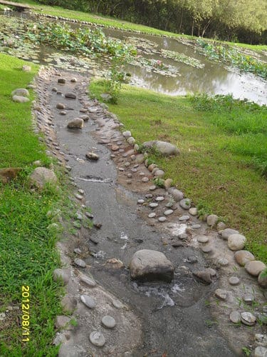 青青湖畔親水花園