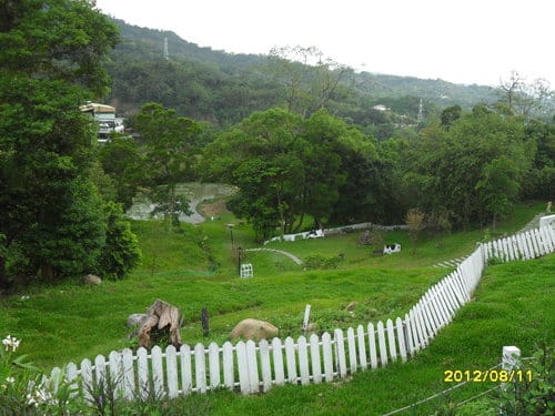 青青湖畔親水花園