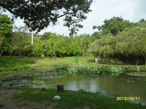 青青湖畔親水花園