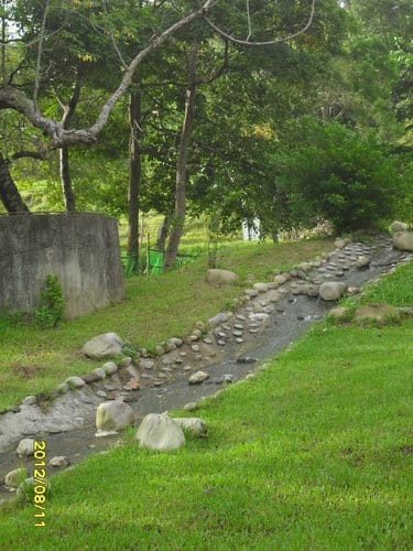 青青湖畔親水花園