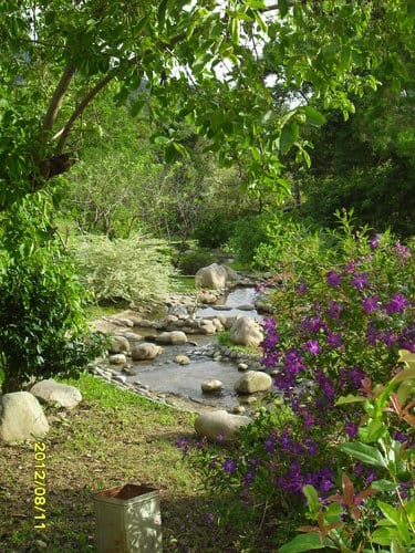 青青湖畔親水花園